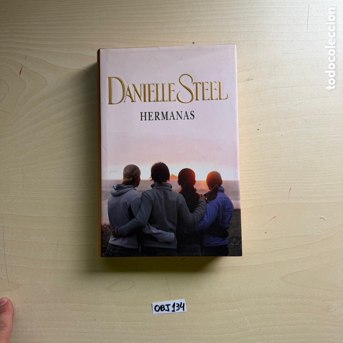 Libros: Danielle Steel hermanas - Foto 1