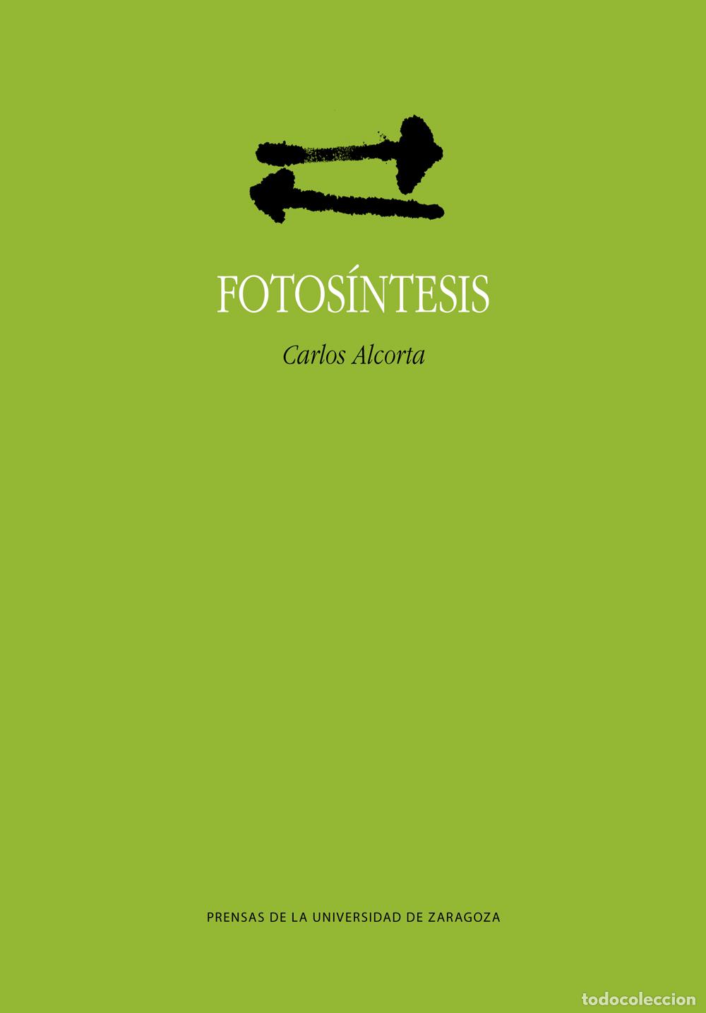 Libros: FOTOS&Iacute;NTESIS - ALCORTA CAY&Oacute;N, CARLOS - Foto 1