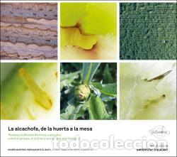 Libros: LA ALCACHOFA, DE LA HUERTA A LA MESA. - MART&Iacute;NEZ CANO, MOIS&Eacute;S - Foto 1