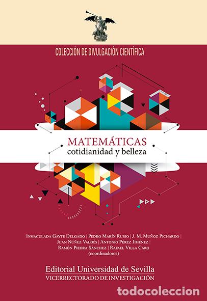 Libros: MATEM&Aacute;TICAS, COTIDIANIDAD Y BELLEZA - VV AA, - Foto 1