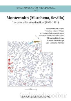 Libros: MONTEMOL&Iacute;N (MARCHENA, SEVILLA) - VV AA, - Foto 1