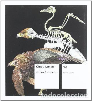Libros: CINCO LUNAS - AVELLANED RUIZ, PEDRO - Foto 1