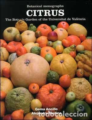 Libros: CITRUS - ANCILLO ANT&Oacute;N, GEMA - Foto 1
