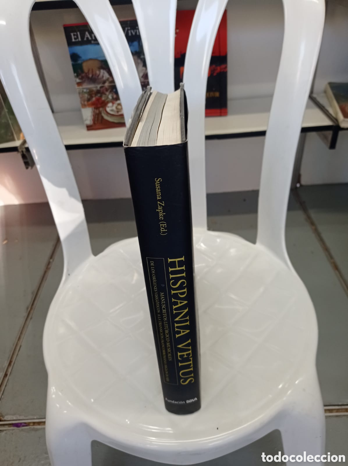 Libros: Hispania Vetus. Susana Zapke. - Foto 2