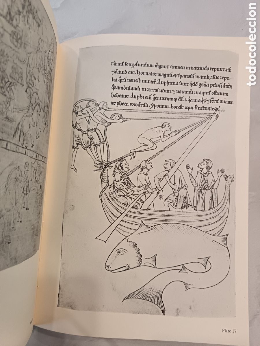 Libros: Medieval Drawings, Paul Hamlyn, 1969 - Foto 3