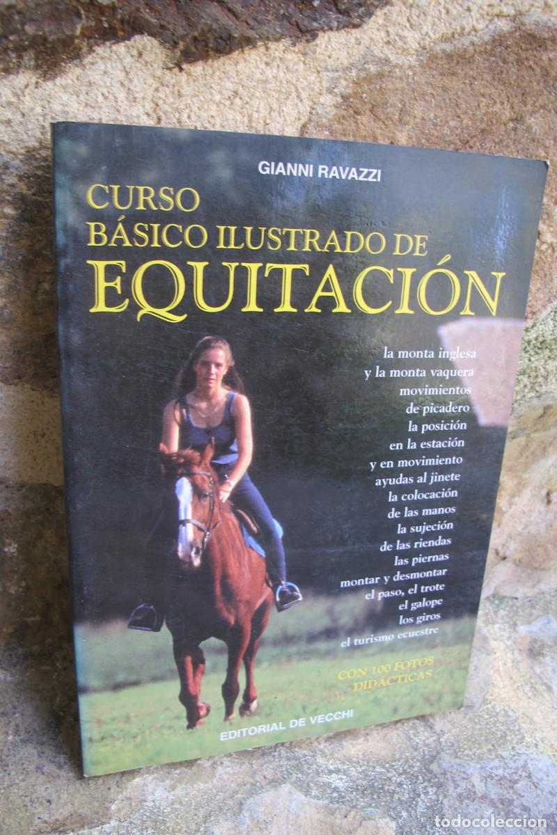Libros: CURSO BASICO ILUSTRADO DE EQUITACION. GIANNI RAVAZZI - Foto 1
