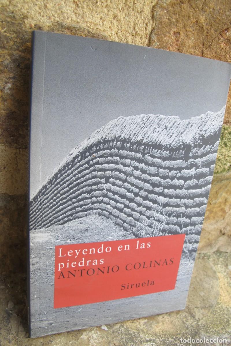 Libros: LEYENDO EN LAS PIEDRAS. ANTONIO COLINAS. SIRUELA - Foto 1