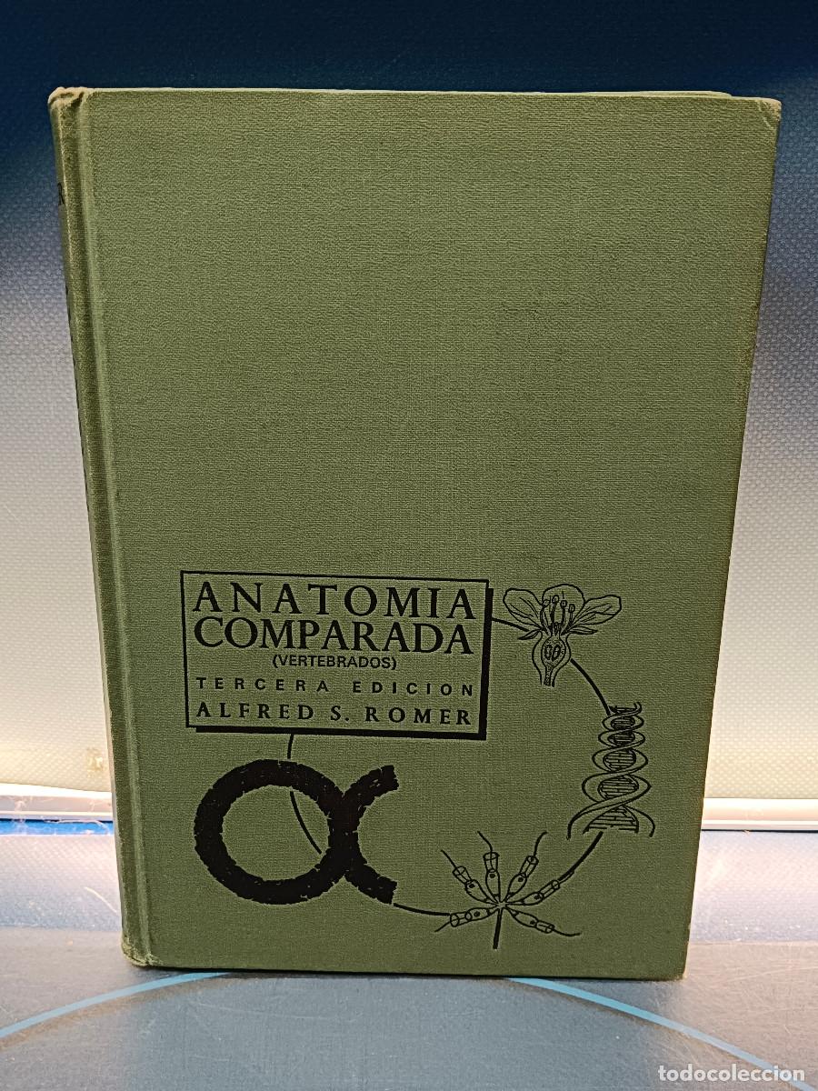 Libros: libro, Anatom&iacute;a comparada Alfred S.Romer, Editorial: Interamericana, M&eacute;xico, 1966 - Foto 1