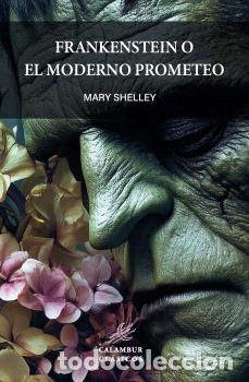 Libros: FRANKENSTEIN O EL MODERNO PROMETEO - SHELLEY, MARY - Foto 1