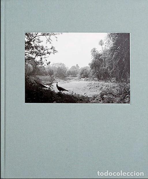 Libros: THE RIDGE - L&Oacute;PEZ GARC&Iacute;A DEL MORAL, PABLO - Foto 1