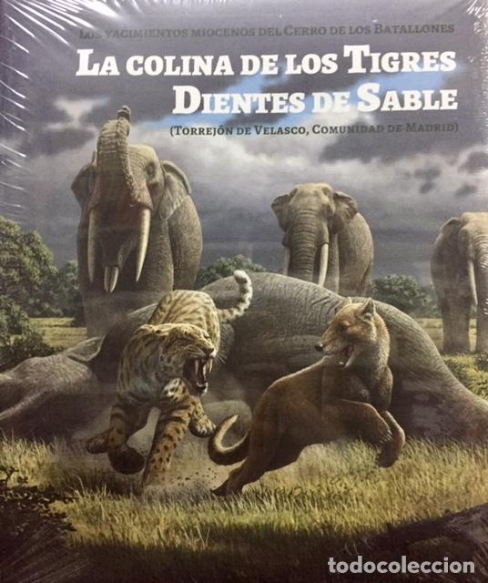 Libros: COLINA DE LOS TIGRES DIENTES DE SABLE, LA - VV.AA, - Foto 1