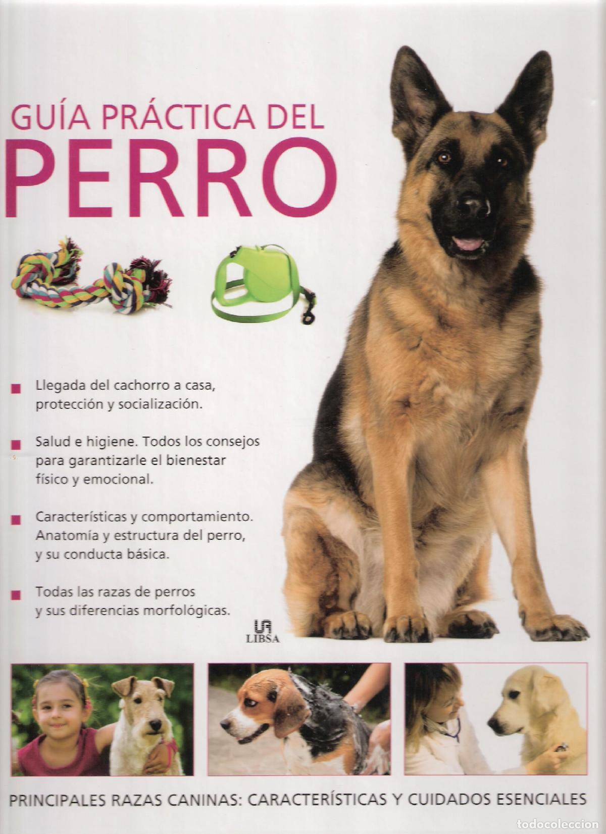 Libros: GUIA PRACTICA DEL PERRO - CUDDY, Beverly, - Foto 1