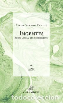 Libros: INGENTES - VELADO PULIDO, PABLO - Foto 1