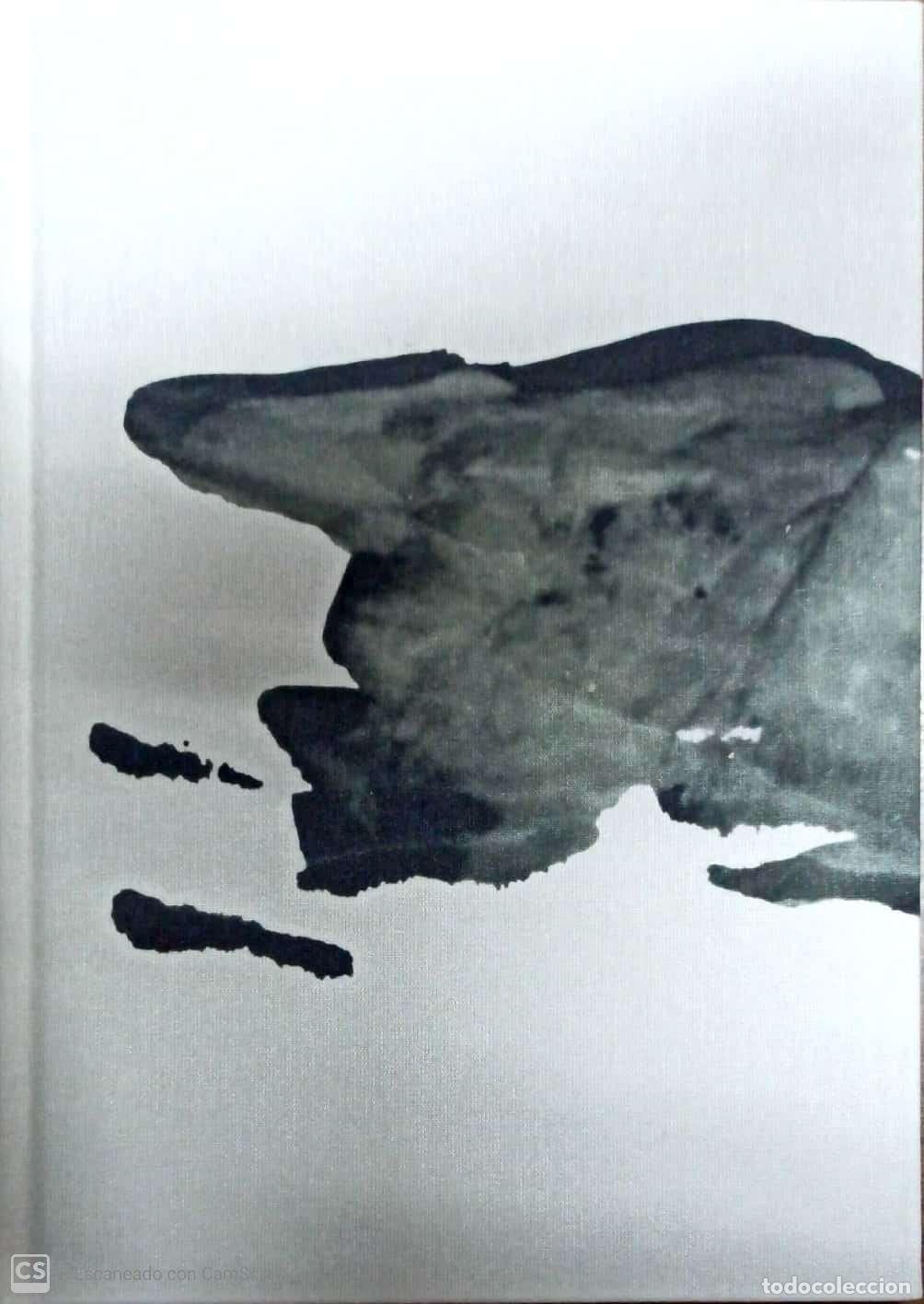 Libros: ICARO - ZOTTOLA, IRENE, - Foto 1