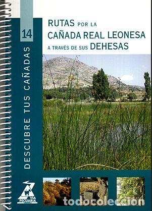Libri di seconda mano: 14. RUTAS POR LA CA&Ntilde;ADA REAL LEONESA A TRAVES DE SUS DEHESAS - D. G. de AGRICULTURA Y DESARRO, LLO R
