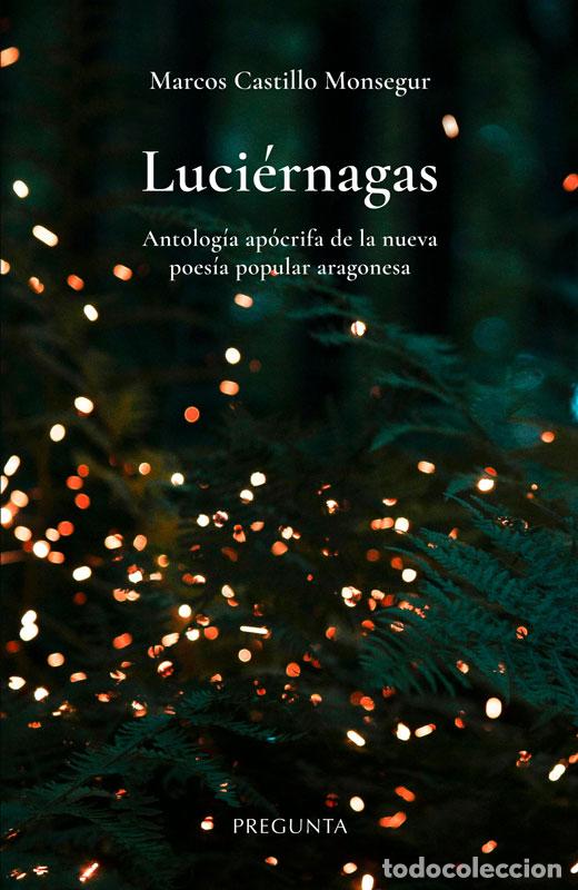 Libros: LUCI&Eacute;RNAGAS - CASTILLO MONSEGUR, MARCOS - Foto 1