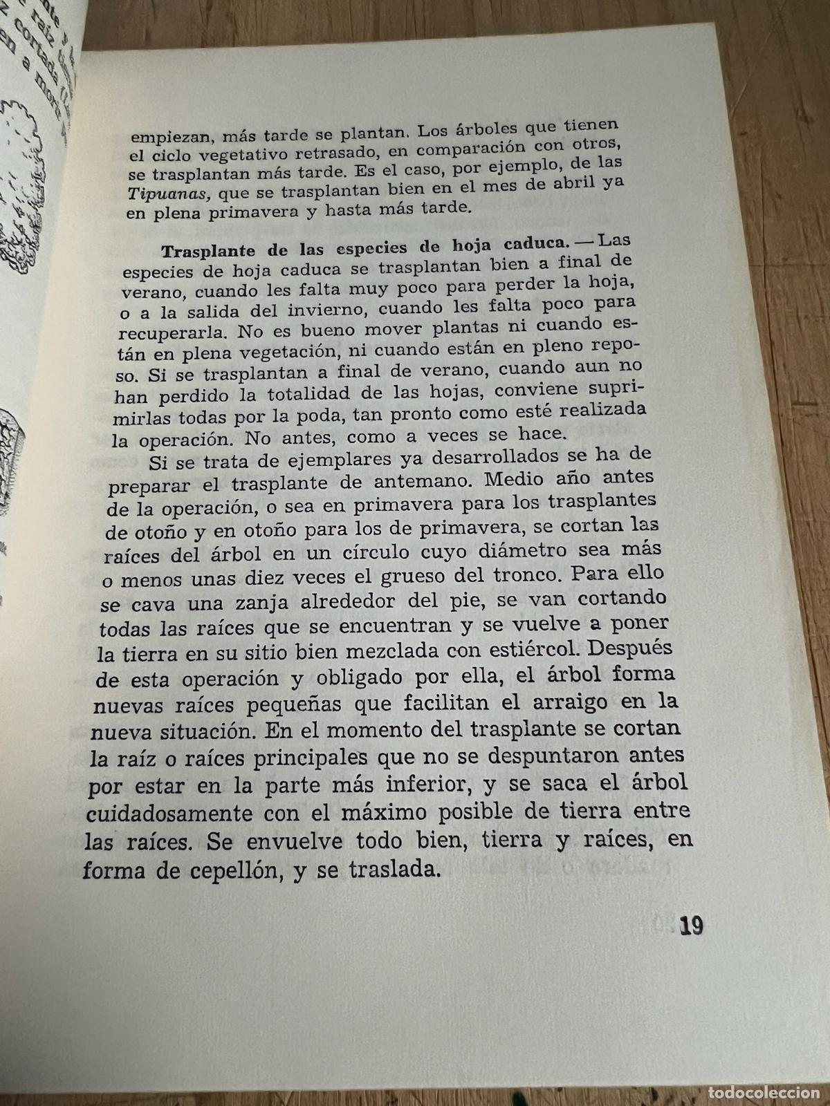 Libros: Los arboles en los jardines - Noel Claras&oacute; - Foto 2