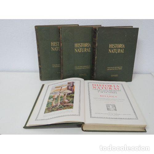Libri di seconda mano: HISTORIA NATURAL. VIDA de los ANIMALES, de las PLANTAS y de la TIERRA (4 TOMOS) - ENRIQUE RIOJA L...