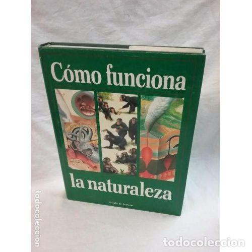 Libri di seconda mano: C&oacute;mo Funciona la Naturaleza - Autor Sin Especificar - Editorial C&iacute;rculo de Lectores