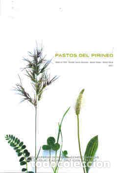 Libros: PASTOS DEL PIRINEO - VVAA - Foto 1
