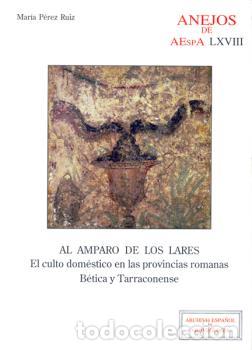 Libros: AL AMPARO DE LOS LARES - P&Eacute;REZ RUIZ, MAR&Iacute;A - Foto 1