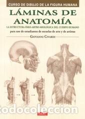 Libros: L&Aacute;MINAS DE ANATOM&Iacute;A - CIVARDI, GIOVANNI, - Foto 1
