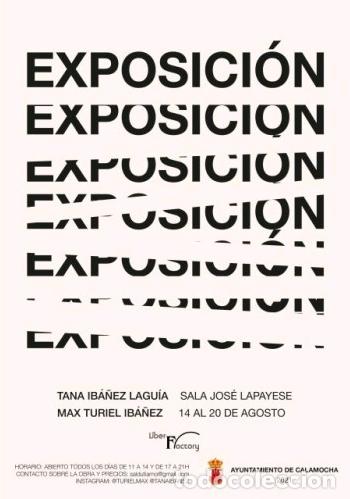 Libros: EXPOSICI&Oacute;N DE PINTURA DE LA SALA JOS&Eacute; LAPAYESE - VV AA, - Foto 1