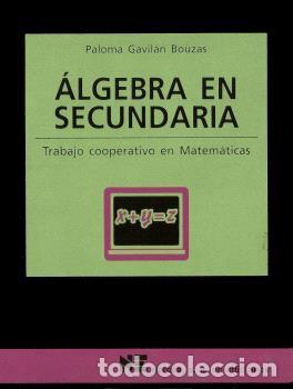 Libros: &Aacute;LGEBRA EN SECUNDARIA - GAVIL&Aacute;N BOUZAS, PALOMA - Foto 1