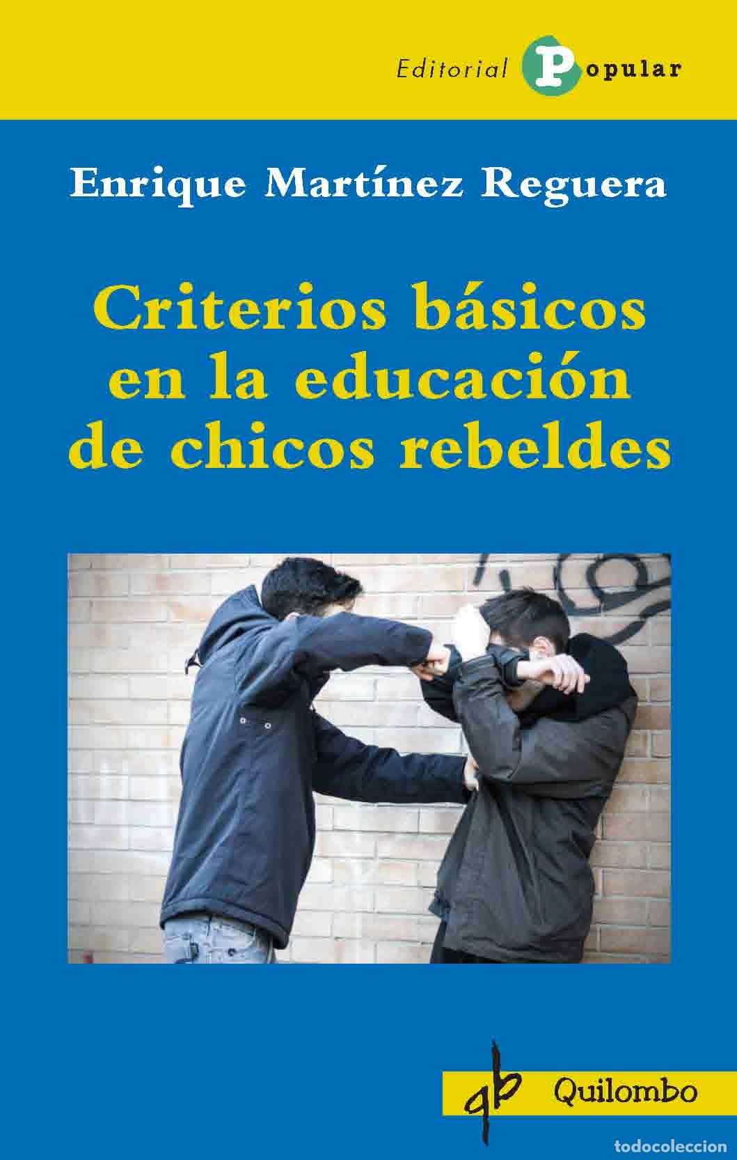 Libros: CRITERIOS B&Aacute;SICOS EN LA EDUCACI&Oacute;N DE CHICOS REBELDES - MART&Iacute;NEZ-REGUERA, ENRIQUE - Foto 1