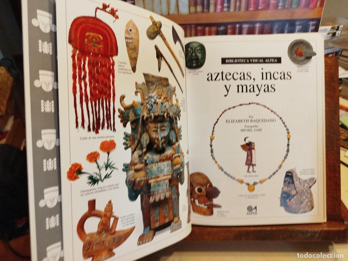Libros: Aztecas, incas y mayas - Baquedano, Elizabeth - Foto 4