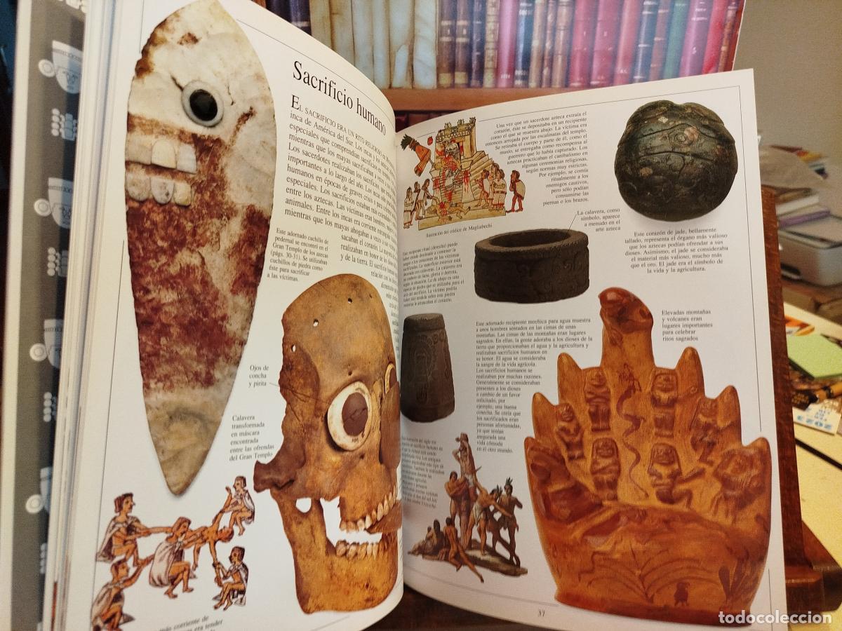 Libros: Aztecas, incas y mayas - Baquedano, Elizabeth - Foto 9