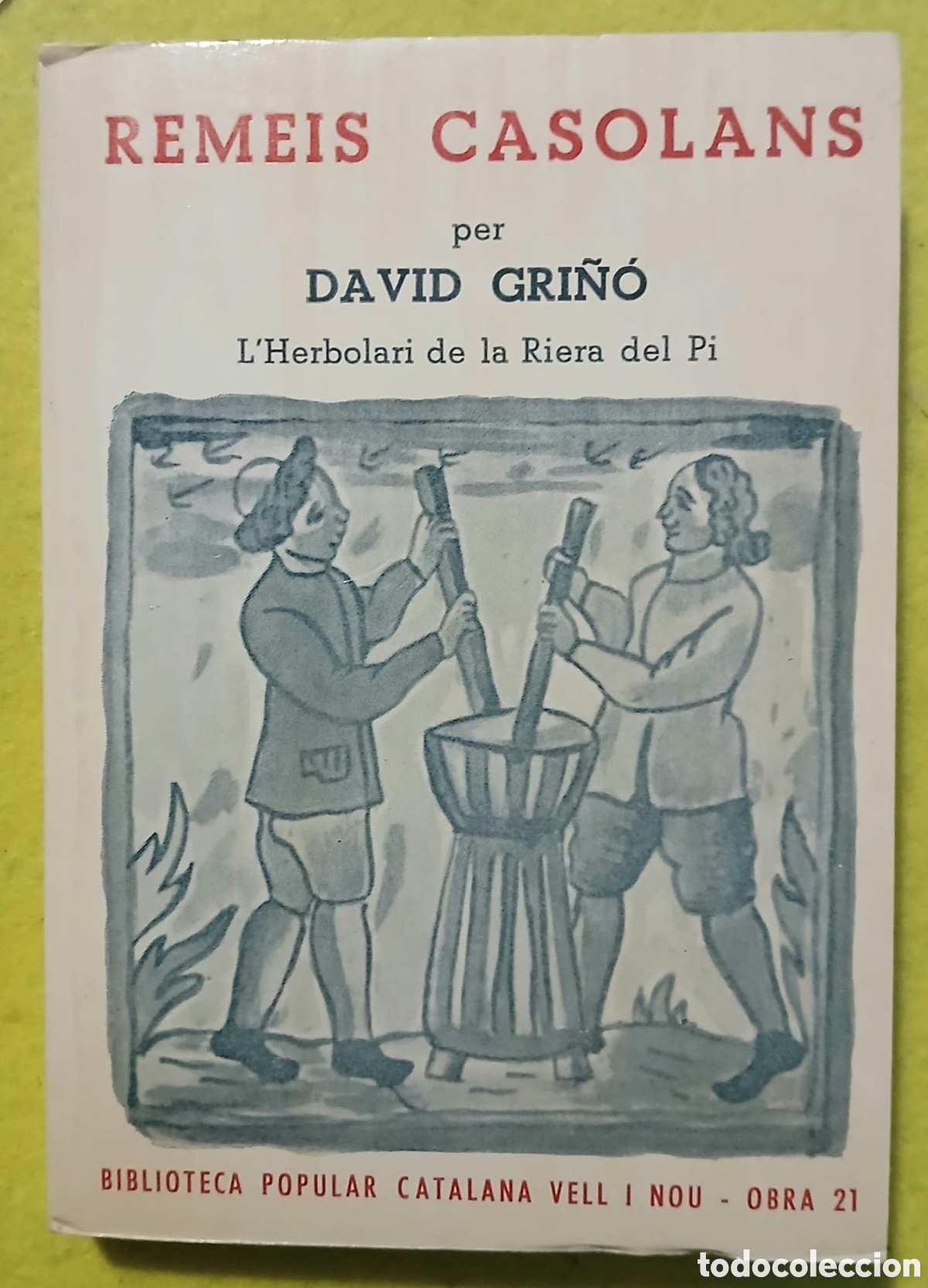 Libros: Remeis Casolans per David Gri&ntilde;&oacute; - Foto 1