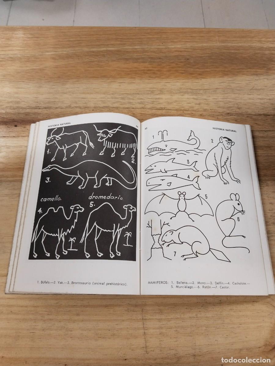 Libros: 2000 Dibujos para el Encerado. Libro del Maestro - Trillo Torija - Foto 7