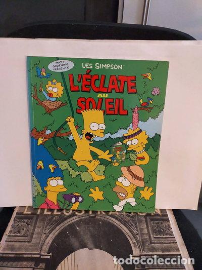 Libros: Les Simpson: LEclat au soleil- 9782914593106 - Foto 1