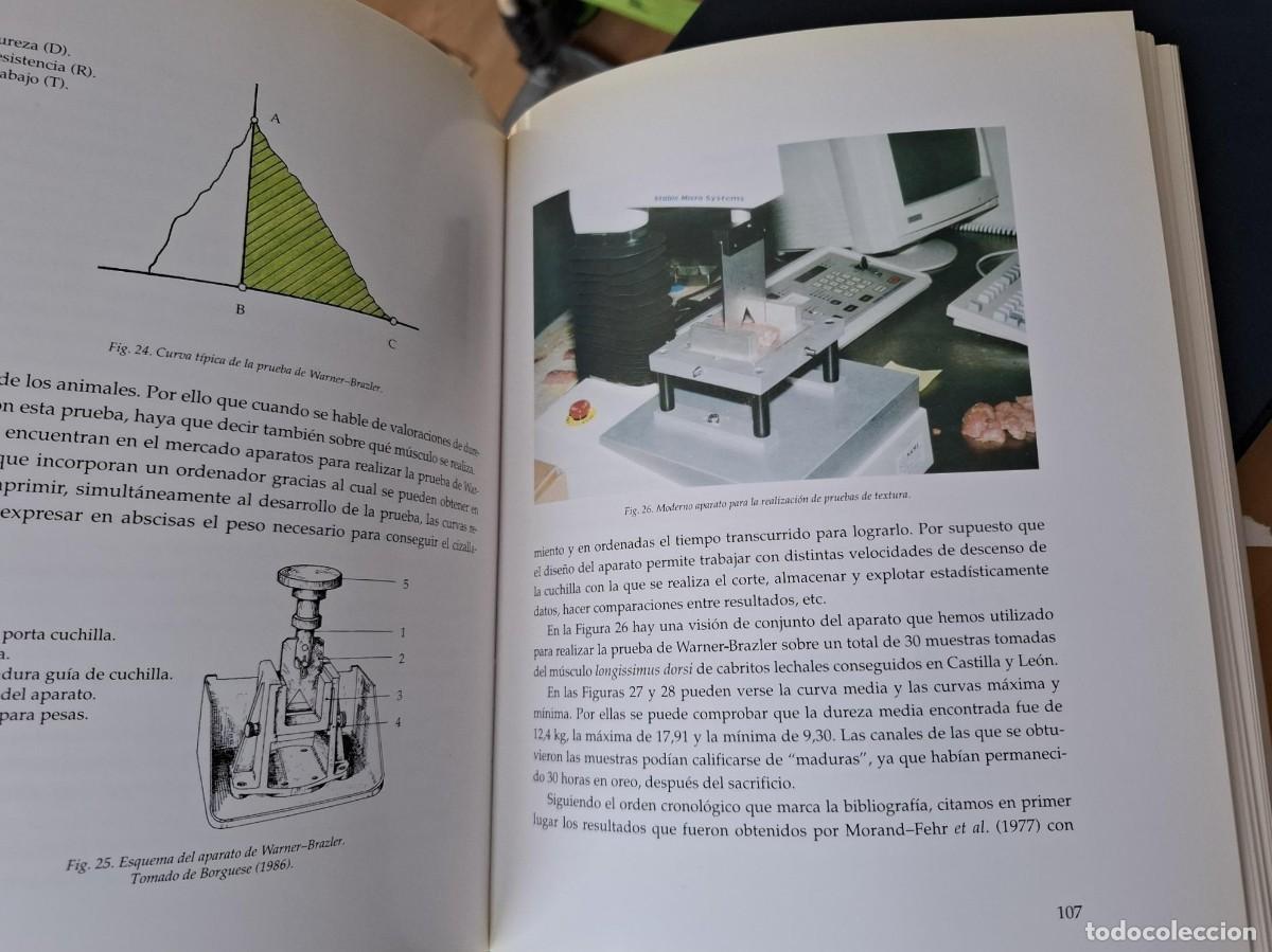 Libros: Emilio Ojeda Sahag&uacute;n - EL CABRITO LECHAL - Foto 3