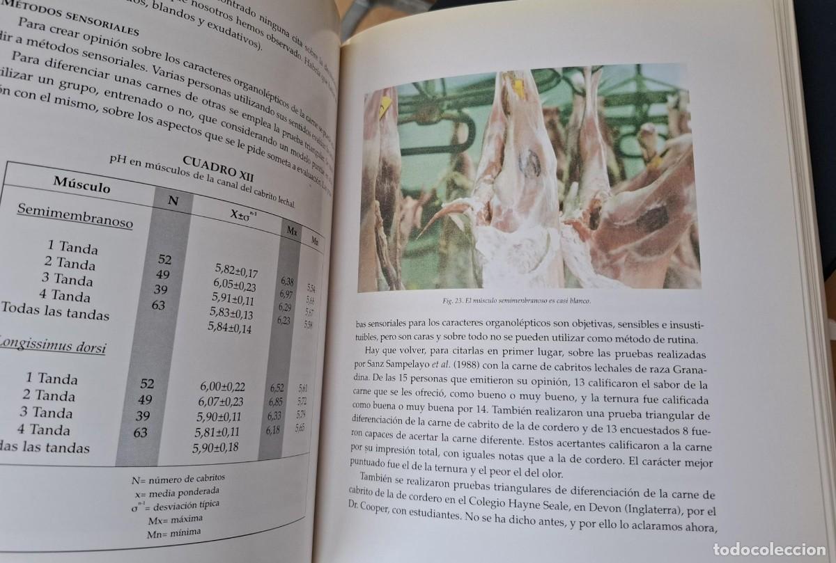 Libros: Emilio Ojeda Sahag&uacute;n - EL CABRITO LECHAL - Foto 4