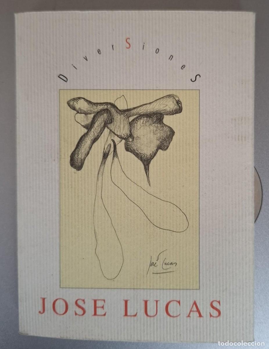 Libros: Jos&eacute; Lucas - DIVERSIONES. JOS&Eacute; LUCAS. DIBUJOS 1993-1995