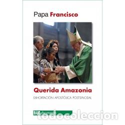 Libros: QUERIDA AMAZONIA /EXHORTACION APOSTOLICA POSTSINODAL - PAPA FRANCISCO, - Foto 1