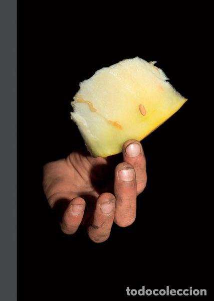 Libros: MELONES DE HIEL - GOLOVCHENKO, KIRILL, - Foto 1