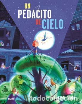 Libros: PEDACITO DE CIELO - CORRY, LYDIA - Foto 1
