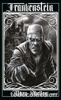 Libros: FRANKENSTEIN - Shelley, Mary, - Foto 1