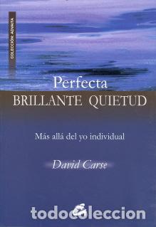 Libros: PERFECTA BRILLANTE QUIETUD - CARSE, DAVID, - Foto 1