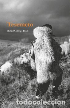 Libros: TESERACTO - GALLEGO D&Iacute;AZ, RAFAEL - Foto 1