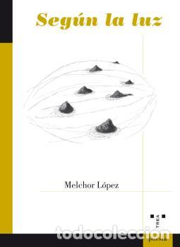 Libros: SEGUN LA LUZ - LOPEZ, MELCHOR, - Foto 1