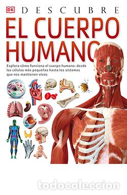 Libros: EL CUERPO HUMANO / DESCUBRE - WALKER, RICHARD, - Foto 1
