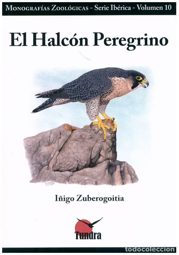 Libros: EL HALCON PEREGRINO - AA.VV, - Foto 1