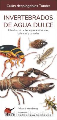Libri di seconda mano: INVERTEBRADOS DE AGUA DULCE / GUIAS DESPLEGABLES TUNDRA - HERNANDEZ, VICTOR J.,