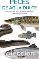 B&uuml;cher: PECES DE AGUA DULCE / GUIAS DESPLEGABLES TUNDRA - HERNANDEZ, VICTOR J.,