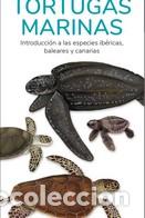 Libri di seconda mano: TORTUGAS MARINAS / GUIAS DEPLEGABLES TUNDRA - HERNANDEZ, VICTOR J.,
