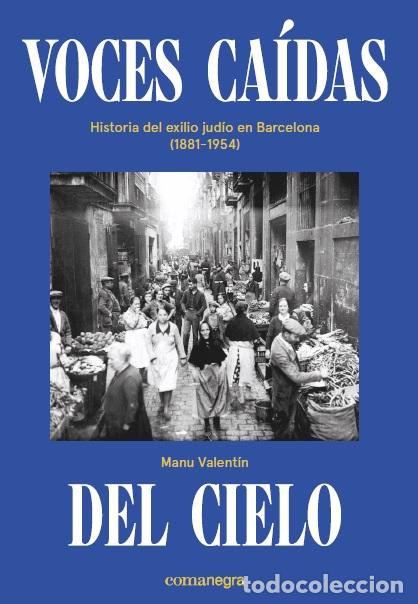 Libros: VOCES CA&Iacute;DAS DEL CIELO - VALENT&Iacute;N, MANU, - Foto 1